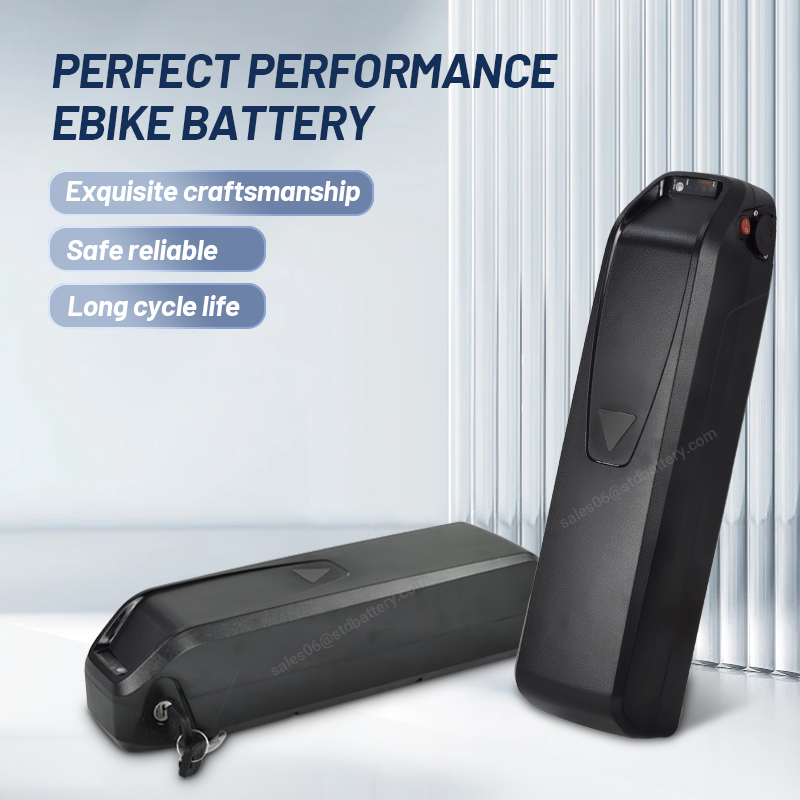 Alx Hailong Ebike Accu 36V Lit - Ebike Battery 48V 20Ah Hailong recensie en prijs